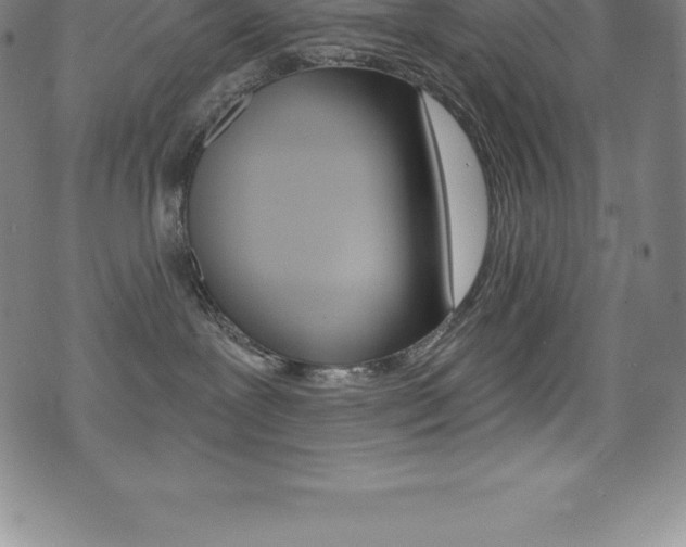 X0000075400239200609081012