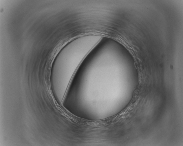 X0000075400241200609081011