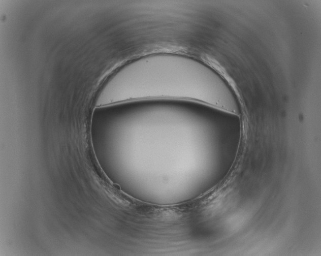 X0000075400249200609081011