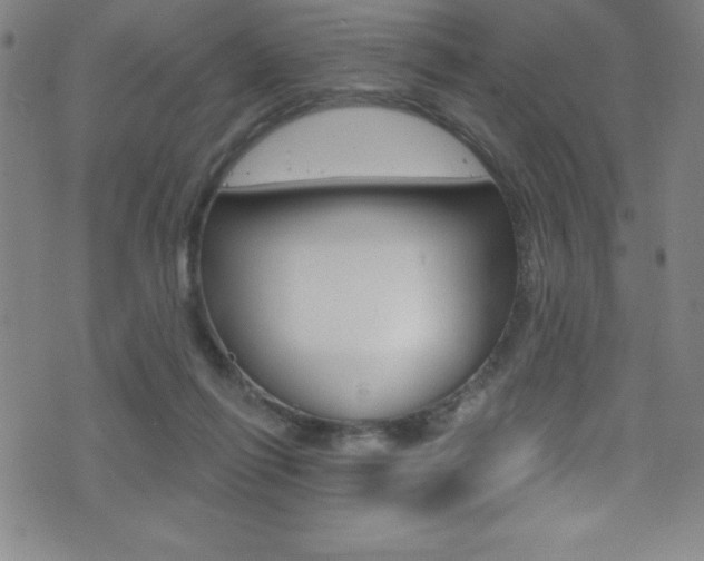 X0000075400262200609081011