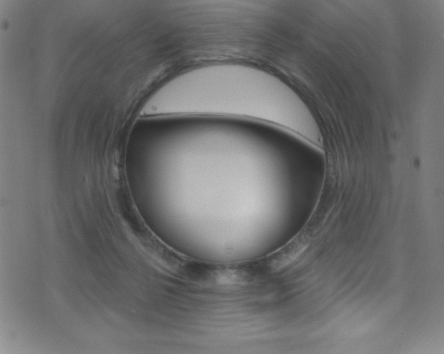 X0000075400264200609081011