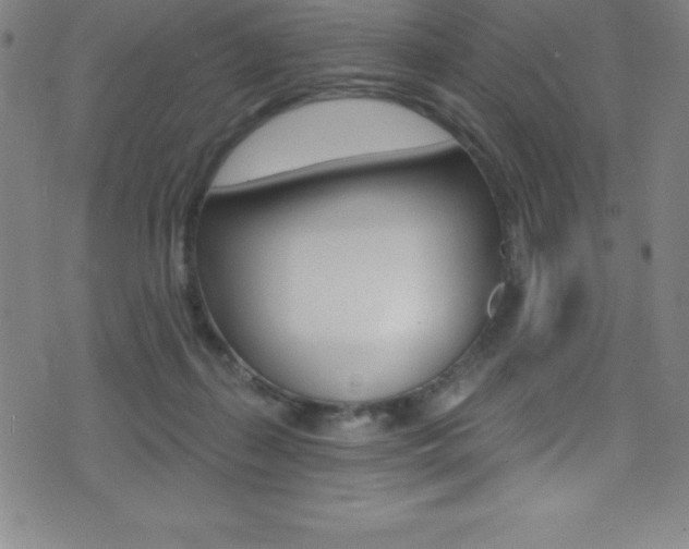 X0000075400267200609081011