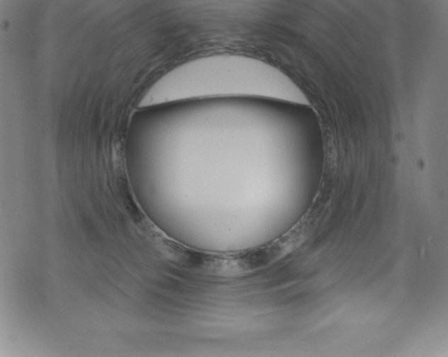 X0000075400276200609081011
