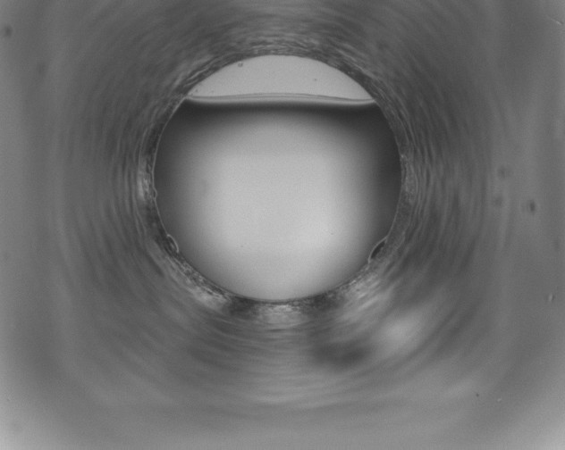 X0000075400287200609081011