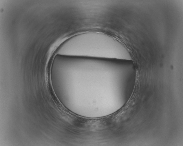 X0000075400294200609081011