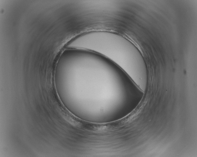 X0000075400301200609081011