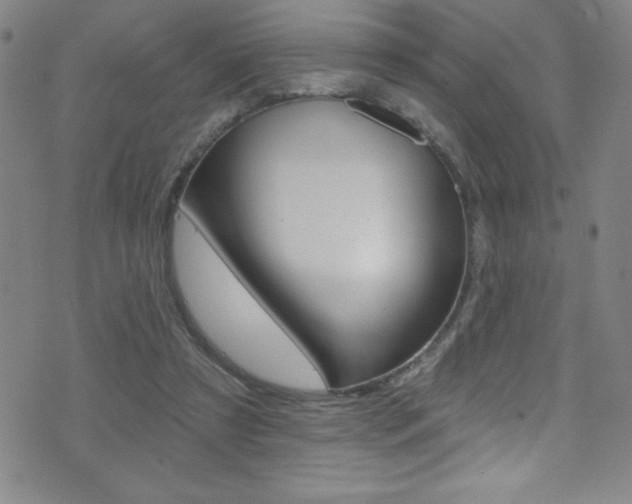 X0000075400305200609081010