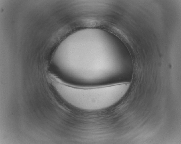 X0000075400307200609081010