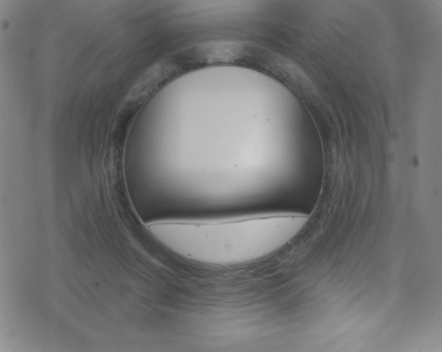 X0000075400311200609081010