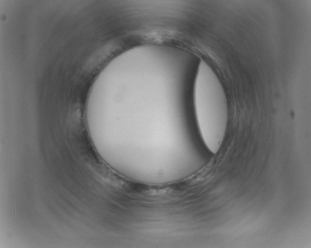 X0000075400314200609081010