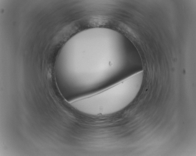 X0000075400315200609081010
