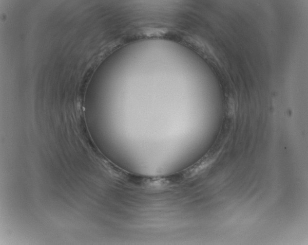 X0000075400321200609081010