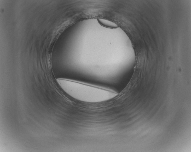 X0000075400335200609081010