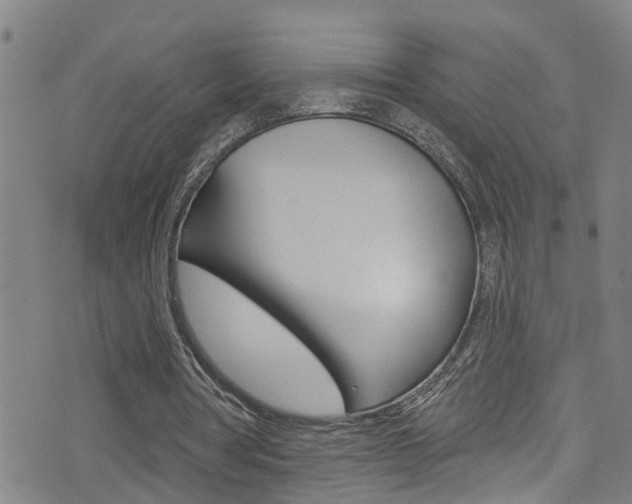 X0000075400386200609081009