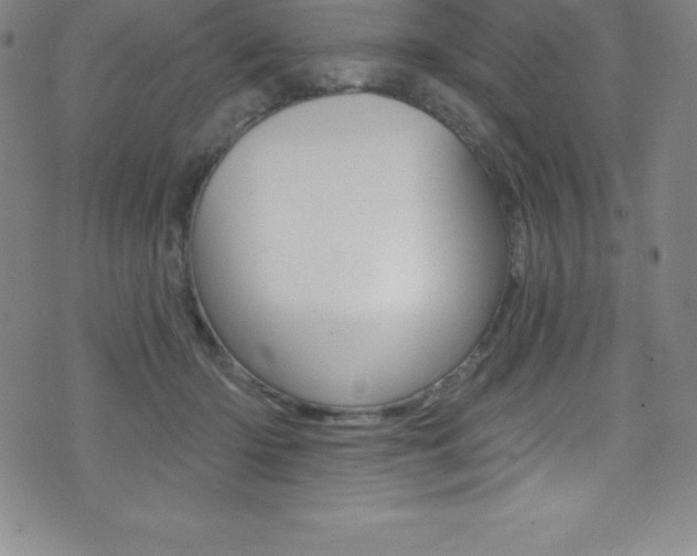 X0000075400414200609081009