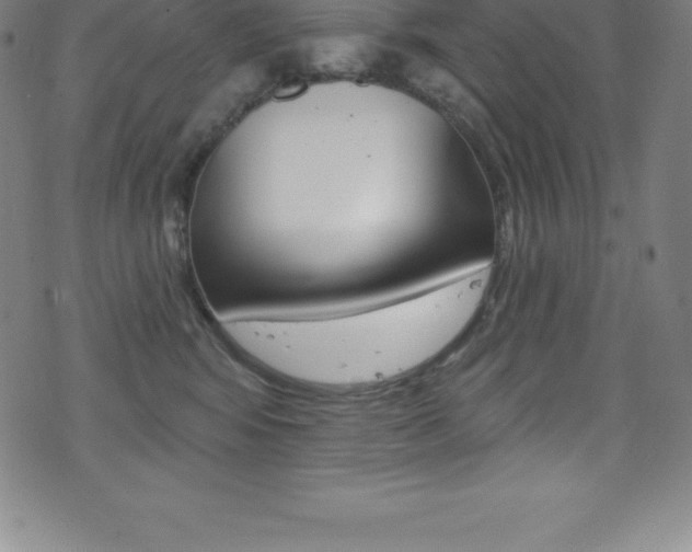 X0000075400424200609081009