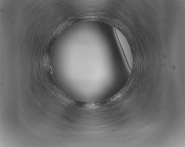 X0000075400425200609081009