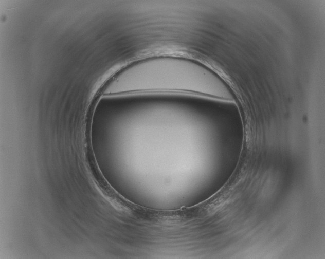 X0000075400438200609081008