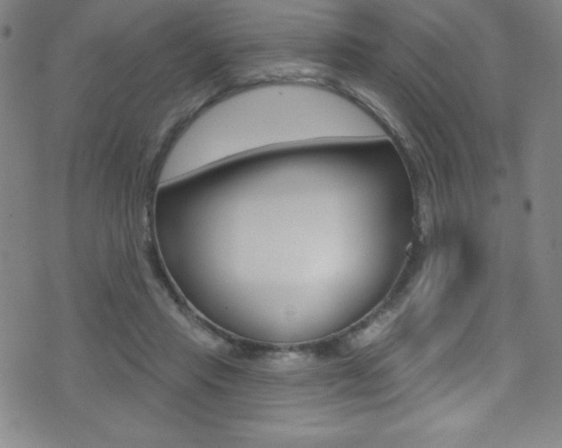 X0000075400453200609081008