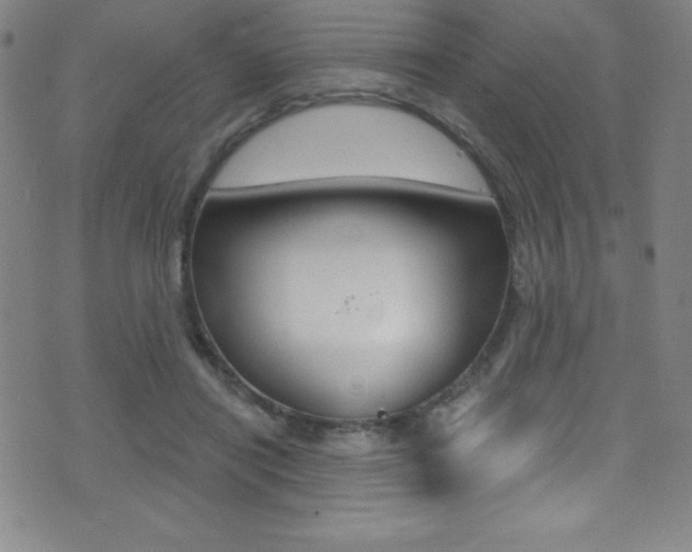 X0000075400454200609081008