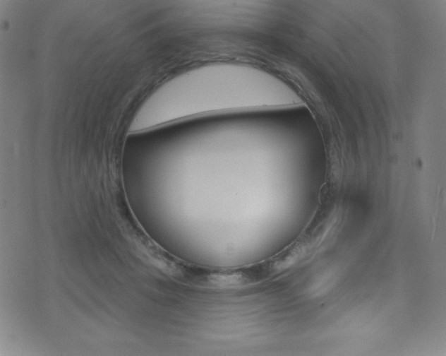 X0000075400457200609081008