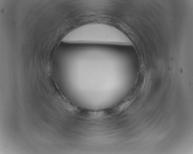 X0000075400469200609081008