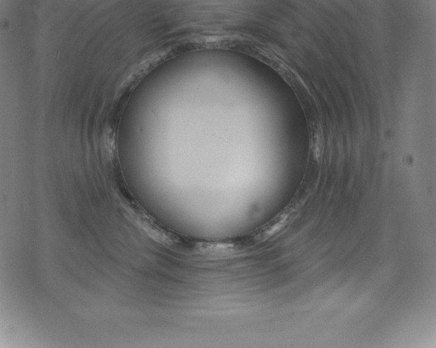 X0000075400476200609081008