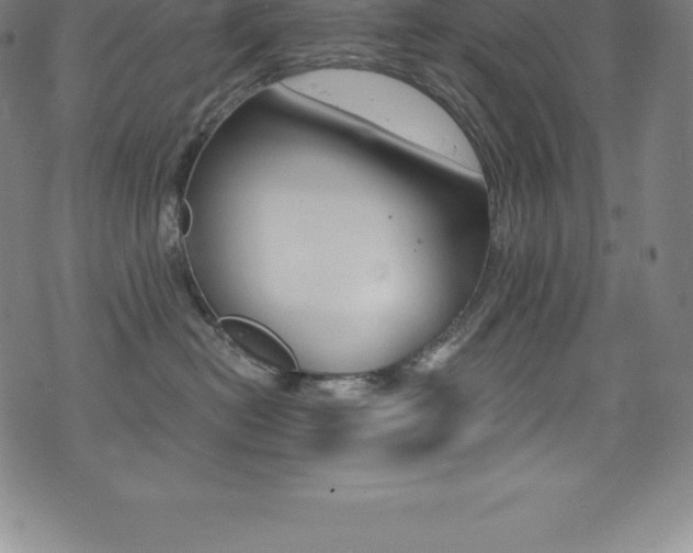 X0000075400478200609081008