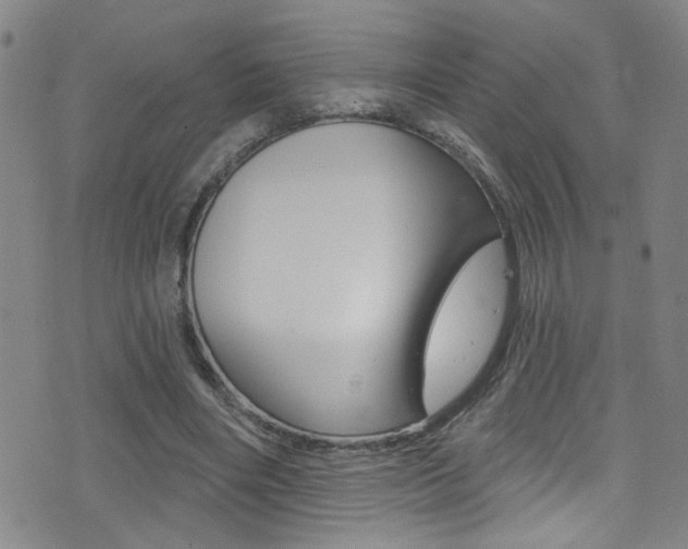 X0000075400490200609081007