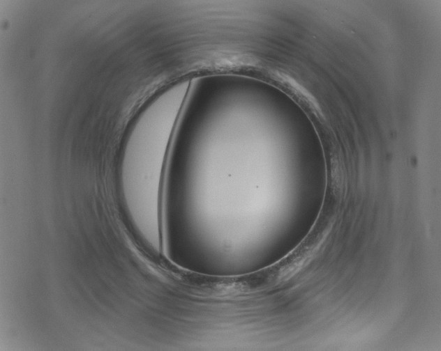 X0000075400493200609081007