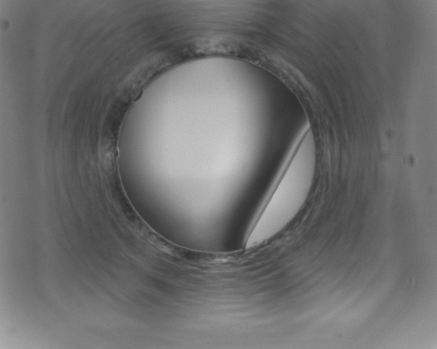 X0000075400513200609081007