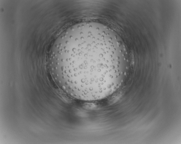 X0000075400519200609081007