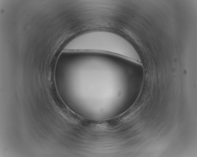 X0000075400548200609081006