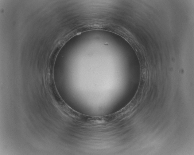 X0000075400552200609081006