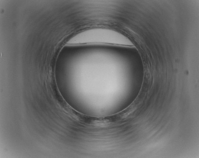X0000075400556200609081006