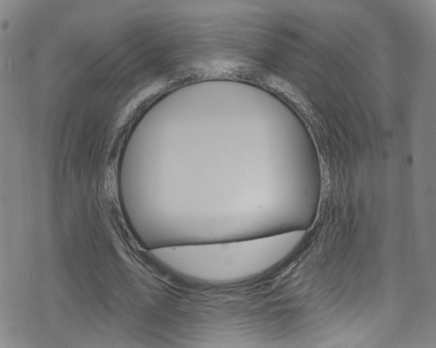 X0000075400583200609081006