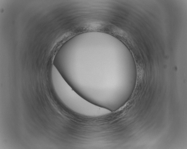X0000075400591200609081006