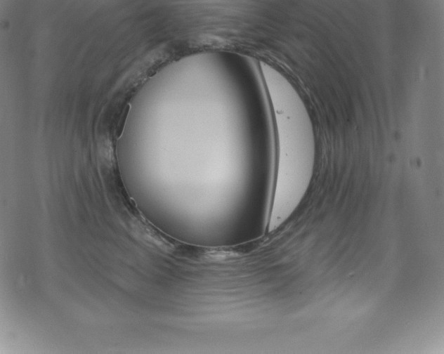 X0000075400617200609081005