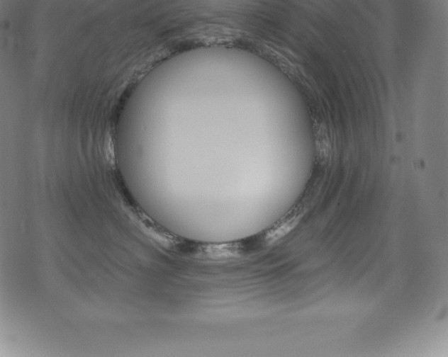 X0000075400622200609081005
