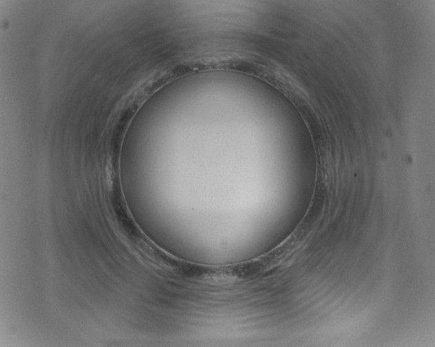 X0000075400644200609081005