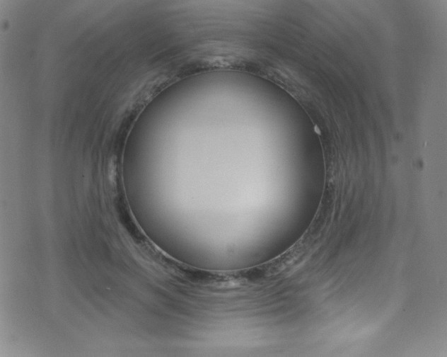 X0000075400646200609081005