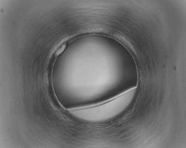 X0000075400676200609081004