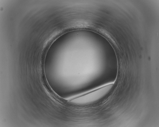 X0000075400677200609081004