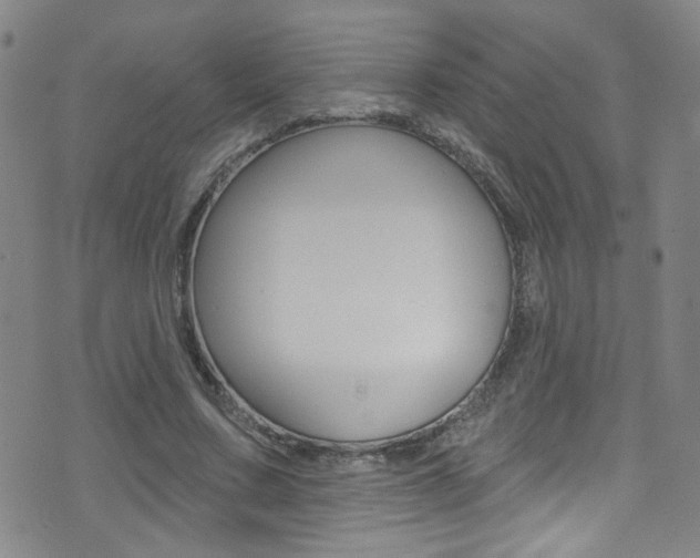 X0000075400683200609081004
