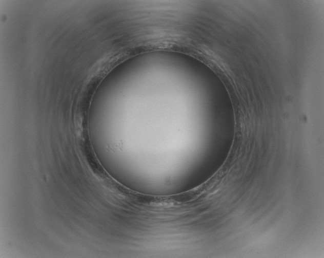 X0000075400693200609081004