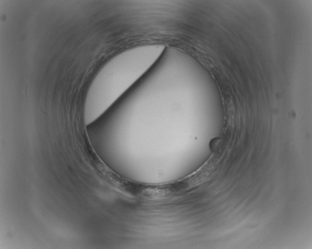X0000075400699200609081004
