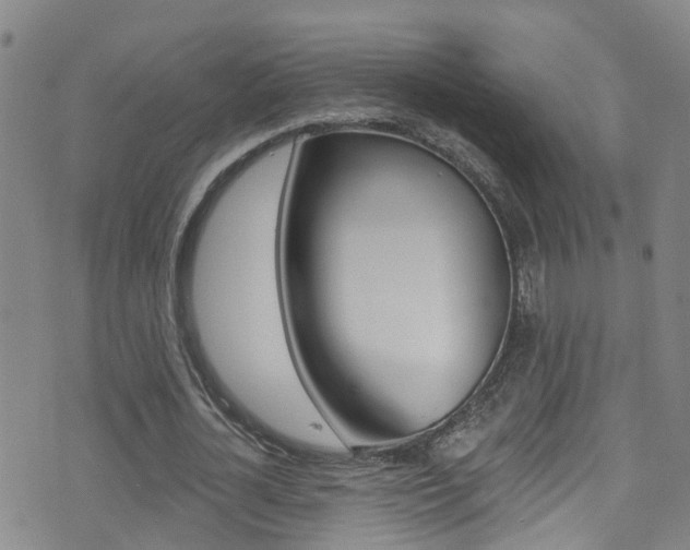 X0000075400724200609081003