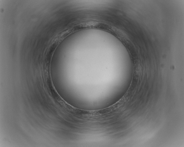 X0000075400743200609081003