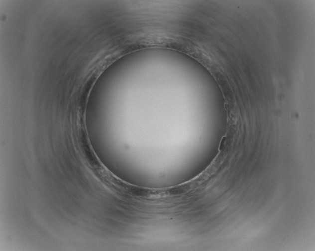 X0000075400744200609081003