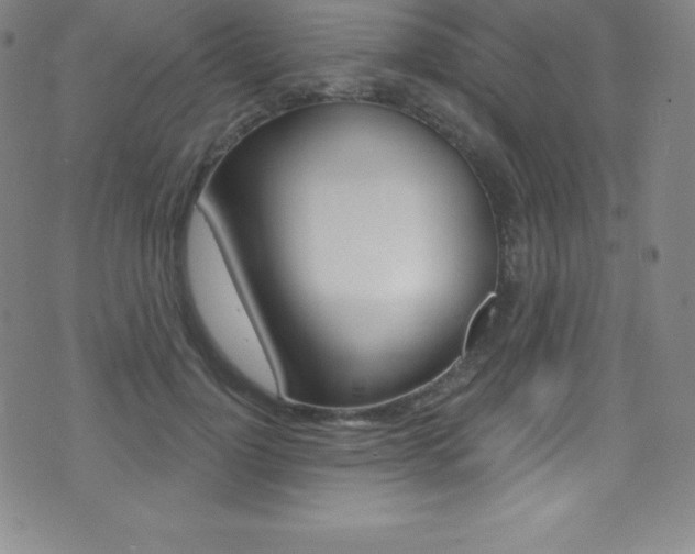 X0000075400748200609081003